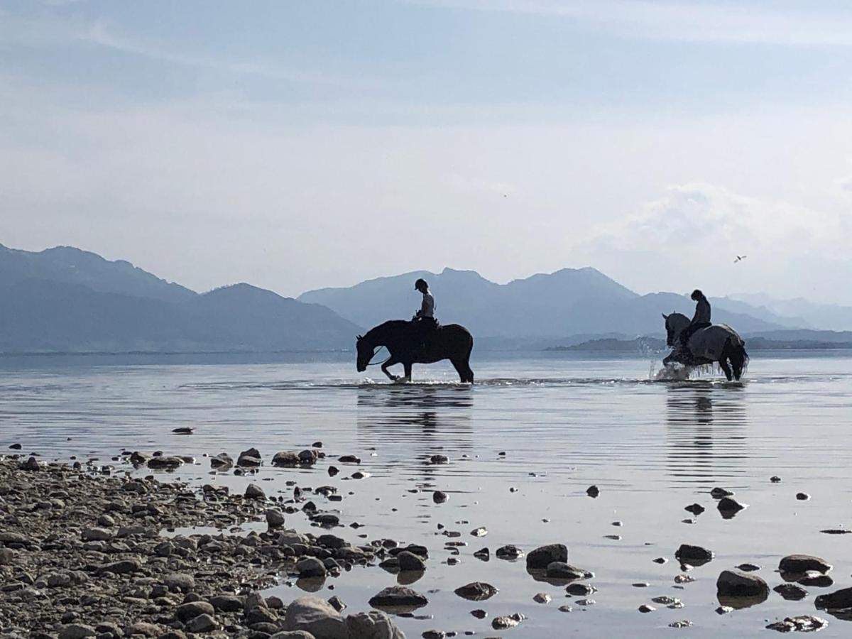 Ad Fontes Suite Mit Bergblick & Sauna Übersee Eksteriør bilde